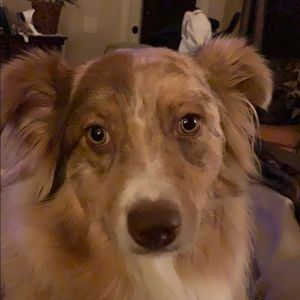 Meet your Posher, Patti